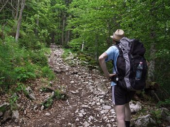 Rear view of man skateboarding against trees in forest