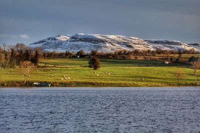 Scenic view of field by lake against sky