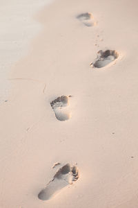 High angle view of footprints on beach