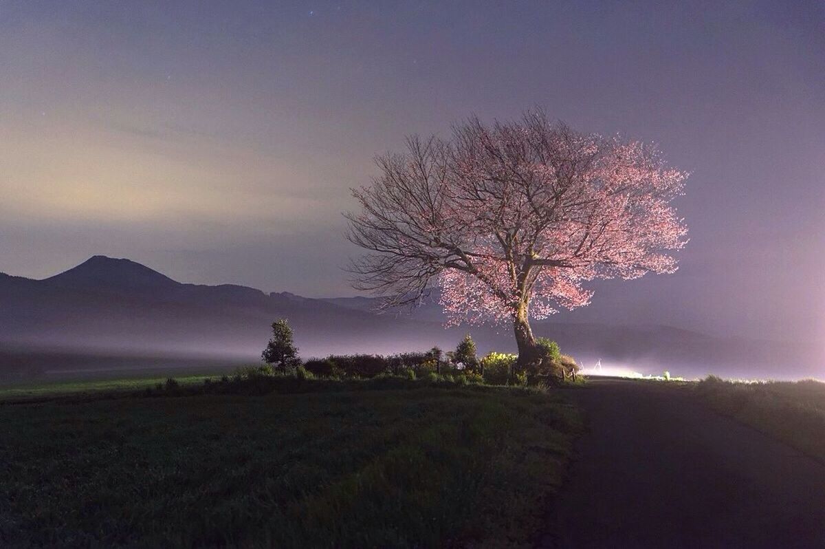 SCENIC VIEW OF MOUNTAINS