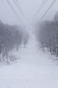 Snow covered landscape