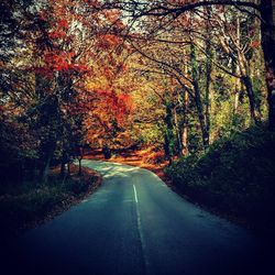 Road amidst trees in forest during autumn