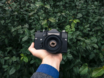 Cropped hand holding camera against plants