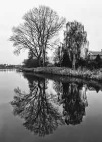 Bare tree by lake against sky