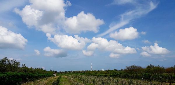 Scenic view of land against sky