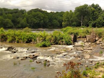 Scenic view of waterfall in forest