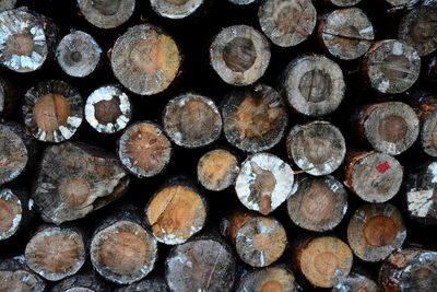 Full frame shot of logs