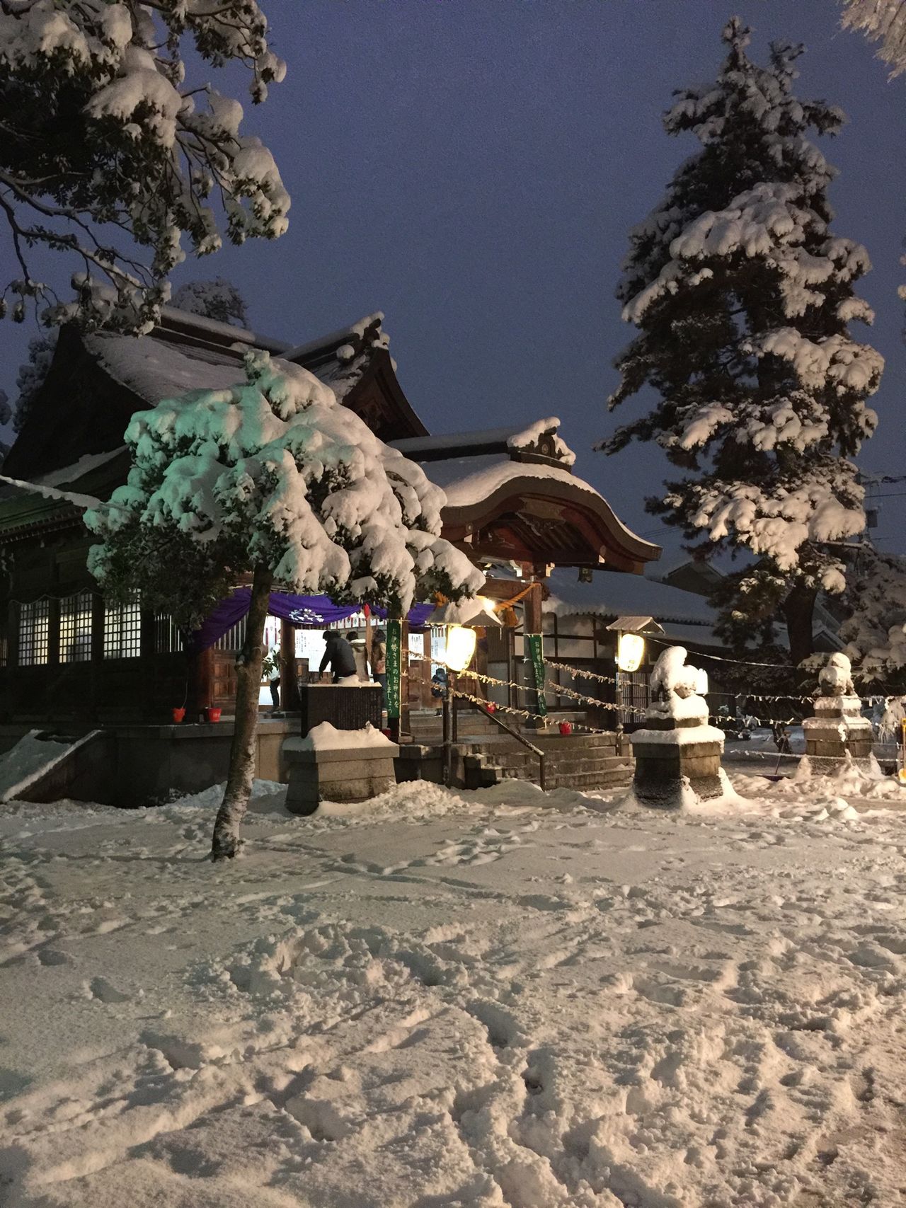 泉野櫻木神社