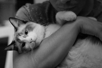 Close-up of cat sitting on woman at home