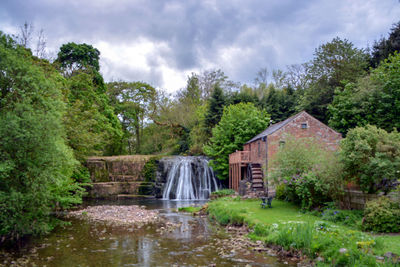 Scenic view of waterfall against trees