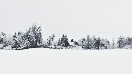 Trees on snow covered field against clear sky