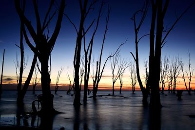 Silhouette bare trees on beach against sky at sunset