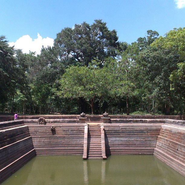 tree, railing, tranquility, water, tranquil scene, growth, nature, sky, beauty in nature, bench, green color, steps, day, scenics, outdoors, lake, clear sky, empty, park - man made space, no people