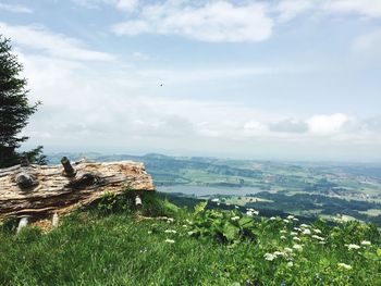 Scenic view of landscape against sky