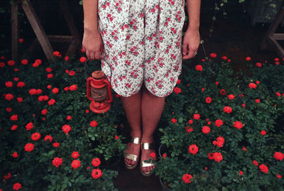 Low section of woman standing with oil lamp amidst pink potted flowers