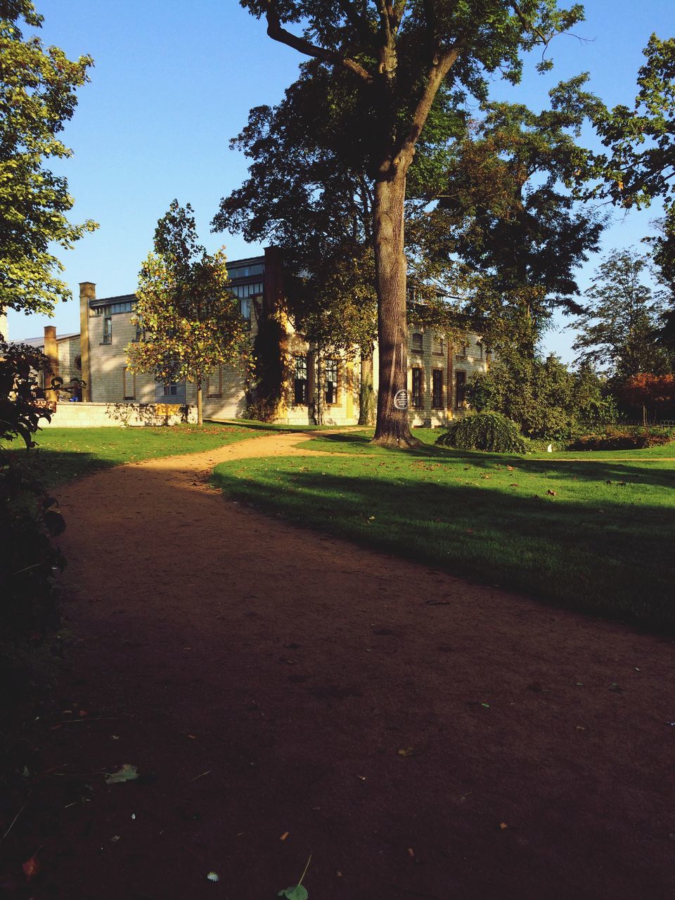 tree, grass, building exterior, architecture, built structure, clear sky, green color, lawn, shadow, park - man made space, growth, sunlight, footpath, nature, park, tranquility, sky, field, outdoors, incidental people