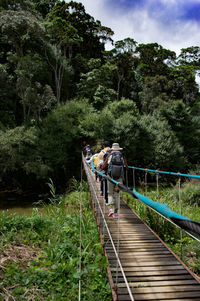 Footbridge over trees against sky