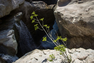 Close-up of rock formation