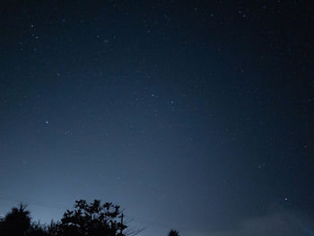 Low angle view of silhouette trees against sky at night