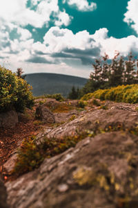 Surface level of land against sky