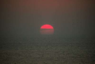 Bird flying over sea against sky during sunset