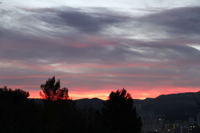 Silhouette trees against sky at sunset