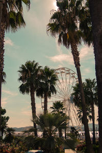 Palm trees against cloudy sky