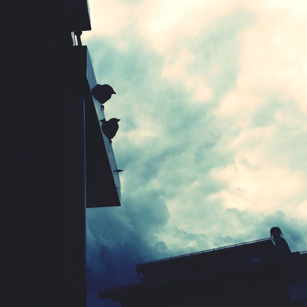 cloud - sky, sky, low angle view, built structure, architecture, no people, building exterior, nature, building, silhouette, outdoors, roof, day, overcast, religion, spirituality, belief, place of worship