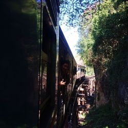 Close-up of man on window