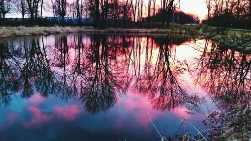 Reflection of trees in lake