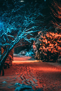View of snow covered land at night