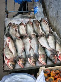 High angle view of fishes for sale