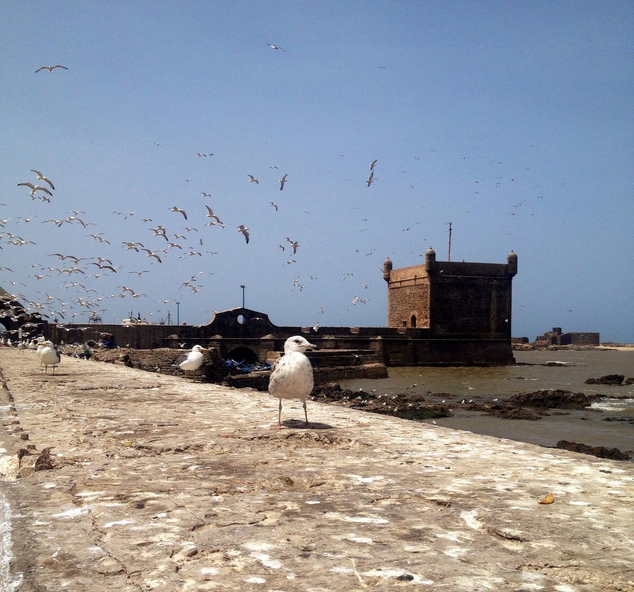 Essaouira