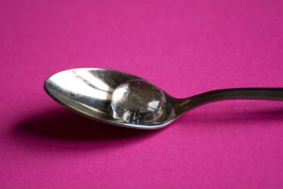 Close-up view of pink flower