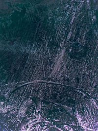 Full frame shot of snow covered trees in forest