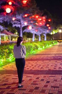 Rear view of woman standing against illuminated trees at night