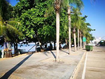 Palm trees by swimming pool in city against sky