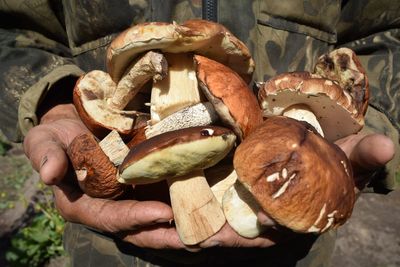 Close-up of person holding food