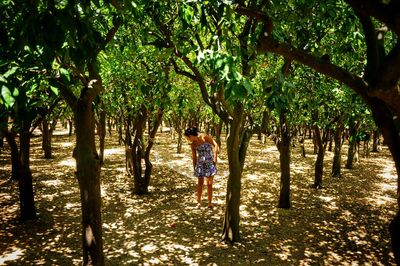 Full length of woman walking amidst trees at farm