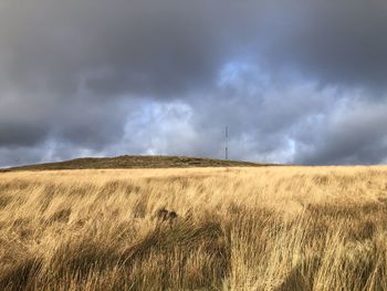 Scenic view of field against cloudy sky