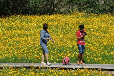 Rear view of people on yellow flowering plants