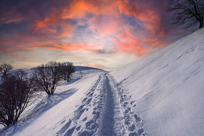Path in the snow at sunset