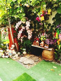 Close-up of potted plants