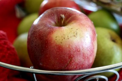 Close-up of cherries on tree