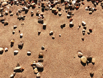 High angle view of pebbles on sand at beach