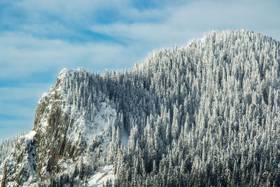 Panoramic view of snowcapped mountain against sky