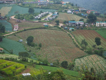 High angle view of agricultural field by houses