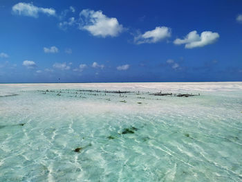 Scenic view of sea against blue sky