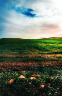 Scenic view of field against sky