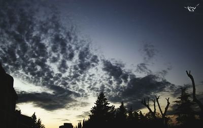 Low angle view of silhouette trees against sky